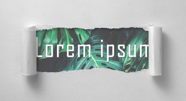 متن Lorem Ipsum چیست و چه کاربردی داره ؟